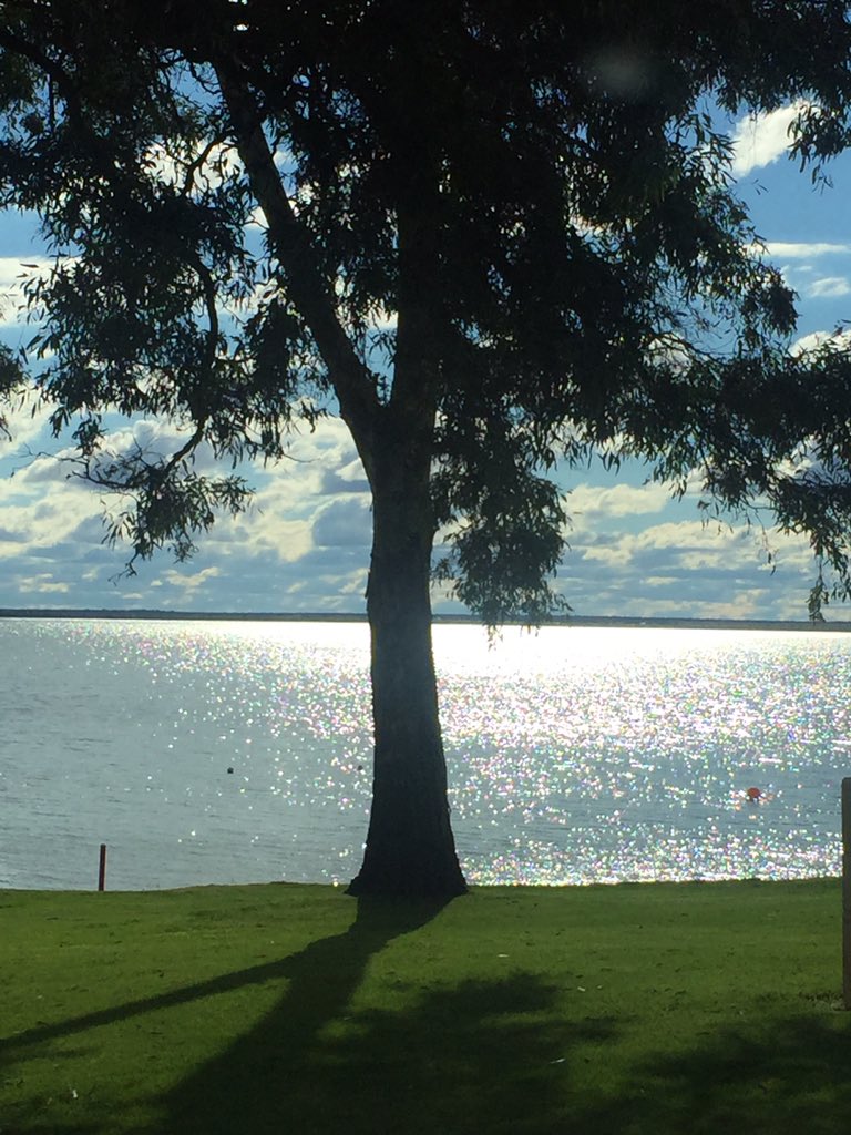 AnnetteEvalynSw's tweet image. #TheTruthTree "Lies change,  TRUTH will always remain the same" #PowerTree #ThePowerOfPoetry #LoveNRG🙏💛✨💫#BeTrueToThineSelf #AESwainQuote #PoetAnetPic #Australia #CityOfChurches🙏💛✨💫 #WordPlay #PoetAnet💕