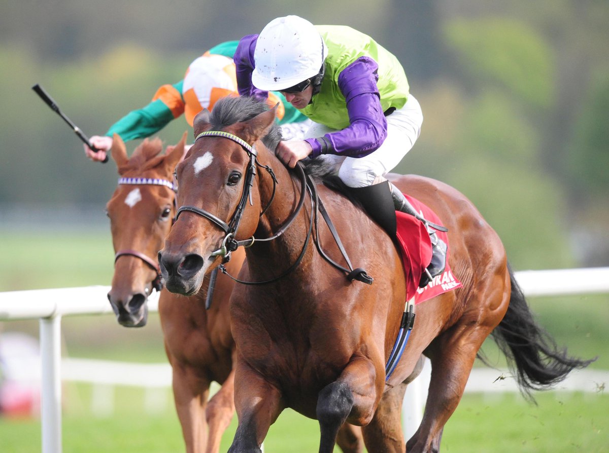 JoeSeward1's tweet photo. Cracking top class flat Card @corkracecourse today Group 3 Munster Oaks the 3 Year Olds #JAEGA @LeighRoche1992 #FLATTERING tackle 4YO course winner #BLOOMFIELD @wjlee24786 @WillieMcCreery
Pity it clashes with @OfficialCorkGAA game @MunsterGAA ...
#HorseRacing
#Cork https://t.co/1wNV7To8bo
