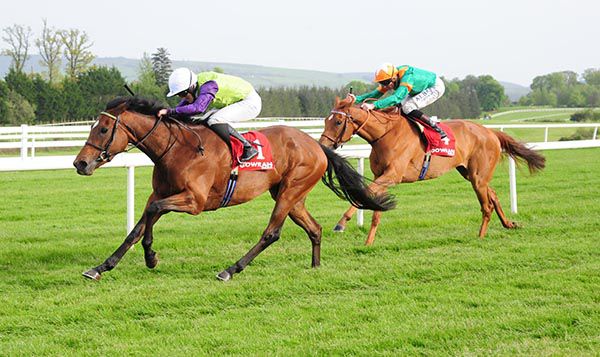 JoeSeward1's tweet photo. Cracking top class flat Card @corkracecourse today Group 3 Munster Oaks the 3 Year Olds #JAEGA @LeighRoche1992 #FLATTERING tackle 4YO course winner #BLOOMFIELD @wjlee24786 @WillieMcCreery
Pity it clashes with @OfficialCorkGAA game @MunsterGAA ...
#HorseRacing
#Cork https://t.co/1wNV7To8bo