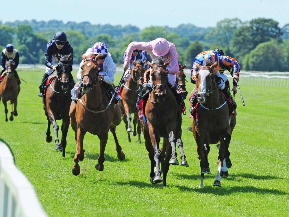 JoeSeward1's tweet photo. Cracking top class flat Card @corkracecourse today Group 3 Munster Oaks the 3 Year Olds #JAEGA @LeighRoche1992 #FLATTERING tackle 4YO course winner #BLOOMFIELD @wjlee24786 @WillieMcCreery
Pity it clashes with @OfficialCorkGAA game @MunsterGAA ...
#HorseRacing
#Cork https://t.co/1wNV7To8bo