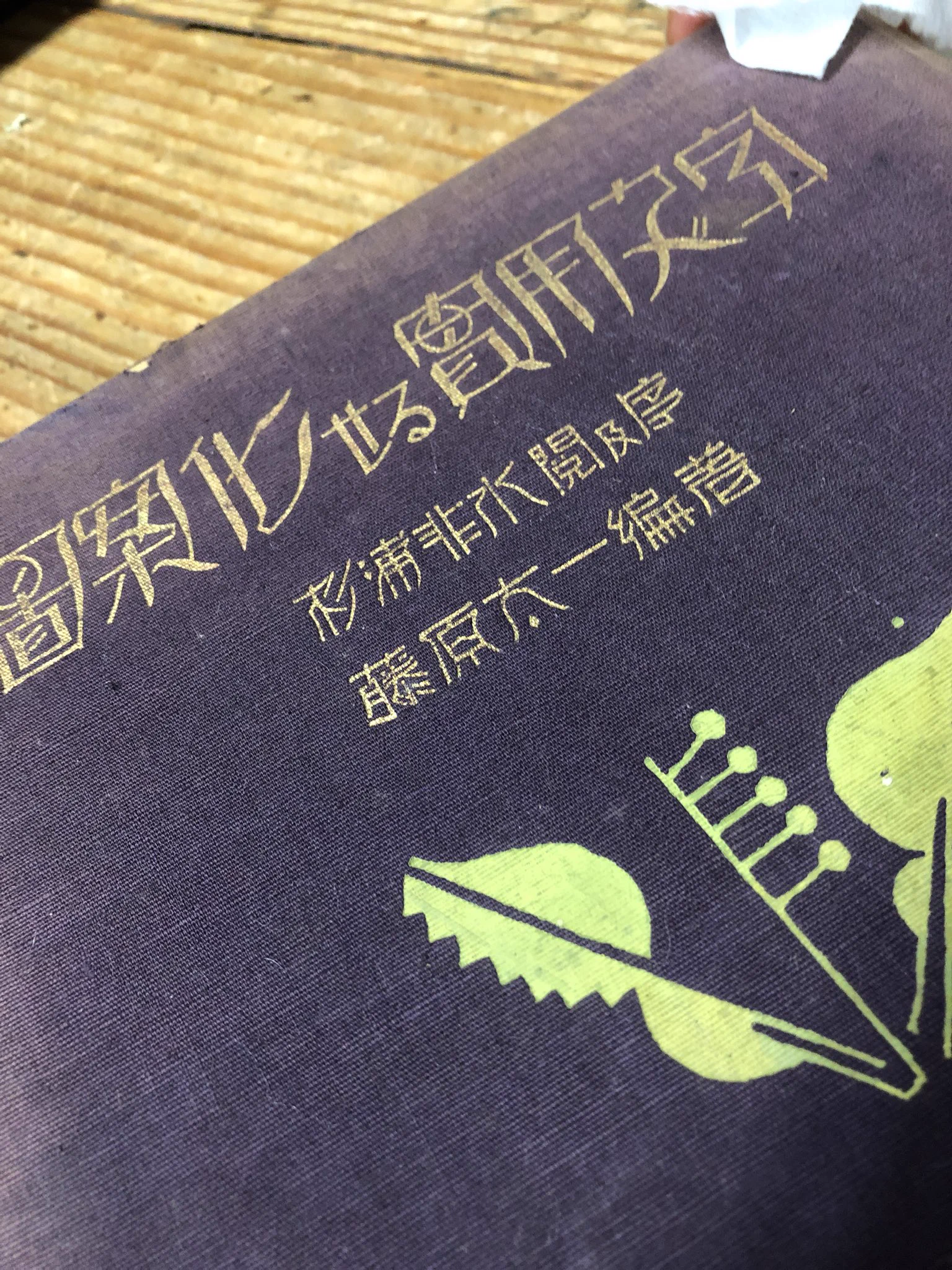 まさに大正ロマン！大正時代のフォントの本におしゃれすぎる文字が満載！