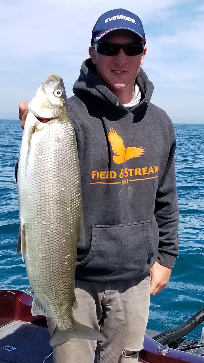 Mitchmac121's tweet photo. This fishing thing is starting to get awfully fun lately. https://t.co/heTFkblcKf