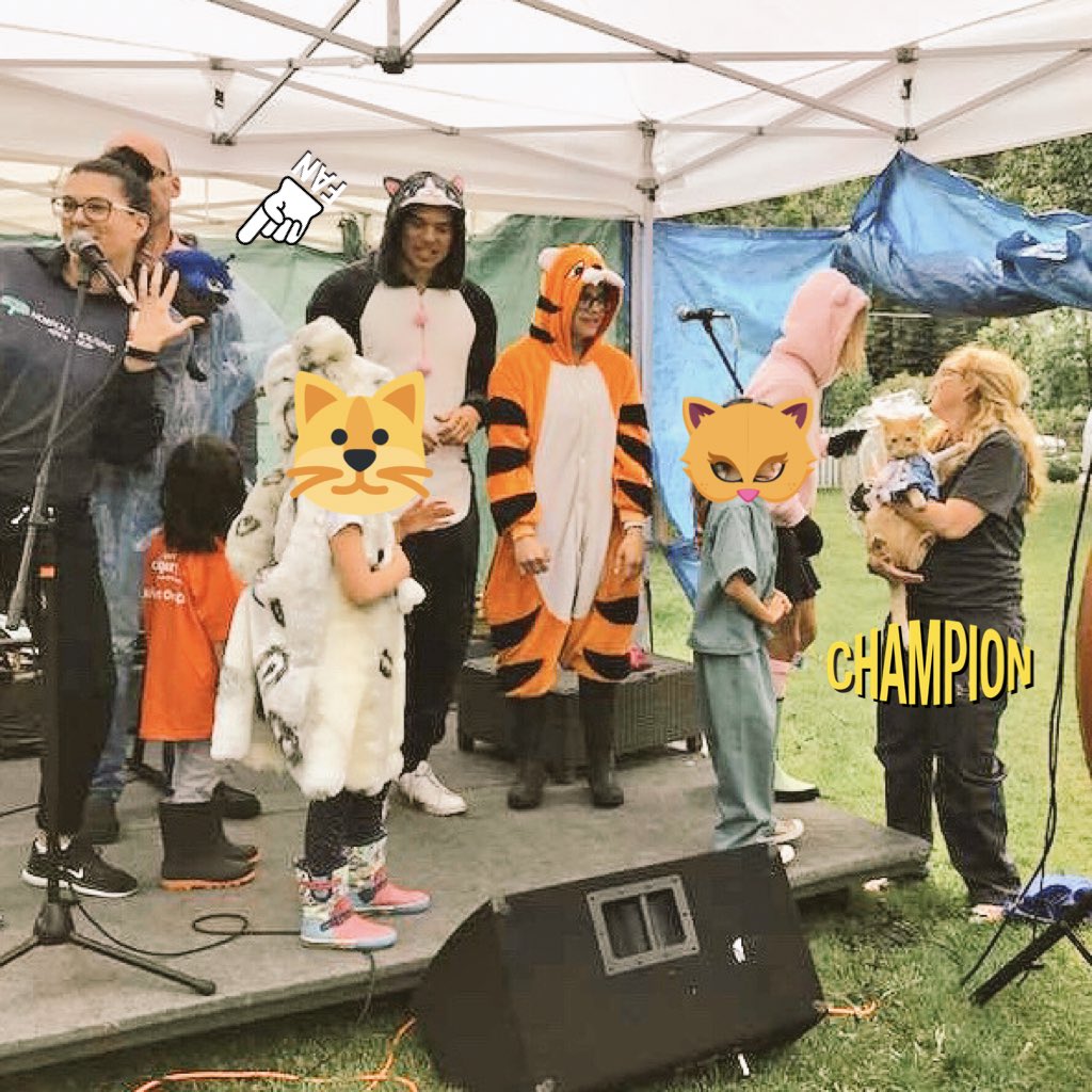 CPageYYC's tweet photo. @RajBhardwajMD @cailynnk Who ever came up with cat costume contest, this was the best idea ever! #cats #NeighbourDay #Sunnyside #YYCNeighborDay #yyc https://t.co/nl2N54RfW1