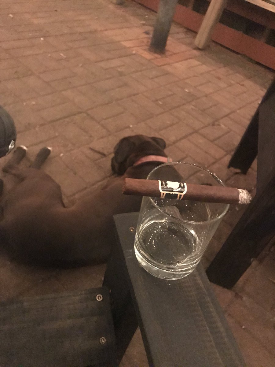 matpoolemusic's tweet photo. I walk in the door after driving twelve hours and this butthead knocks my scotch over within minutes. Thanks Lucy. https://t.co/DsQ8JyhrtT