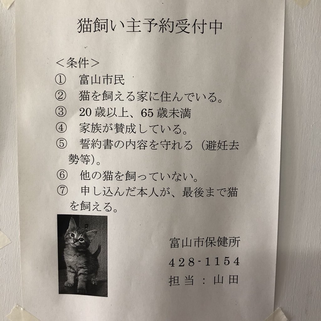子猫の里親募集中 hashtag on Twitter