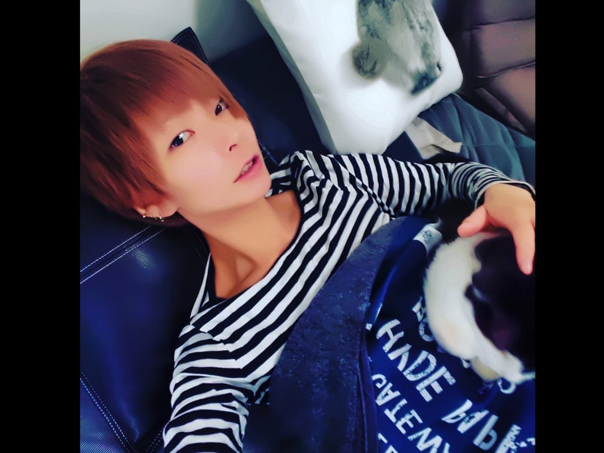 杉浦アヤカ 野球がラブチ 髪の毛メンテ行ってきた 左だけまた短くした 素顔にベストな髪型にいつもしたいから美容院行く時はメイクもカラコンもしない のっぺり顔で行く