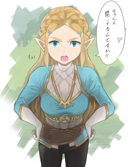 ゼルダ の 伝説 ブレス オブザ ワイルド イラスト