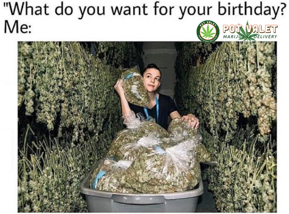 PotValet's tweet photo. “What do you want for your birthday?”
.
.
#weed #potvalet #weeds #weedart #weednerdnation #weed420 #weedsmoker #weedcommunity #weeddaily #weedporndaily #weedlover #weedlovers #weedislife #losangeles #westLosAngeles https://t.co/8qRvWqz3Bz