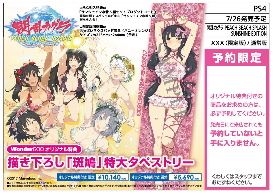 33%割引印象のデザイン 【非売品】 閃乱カグラ ESTIVAL VERSUS B2 サイズ ポスター キャラクターグッズ おもちゃ・ホビー・グッズ-TIAMER.COM
