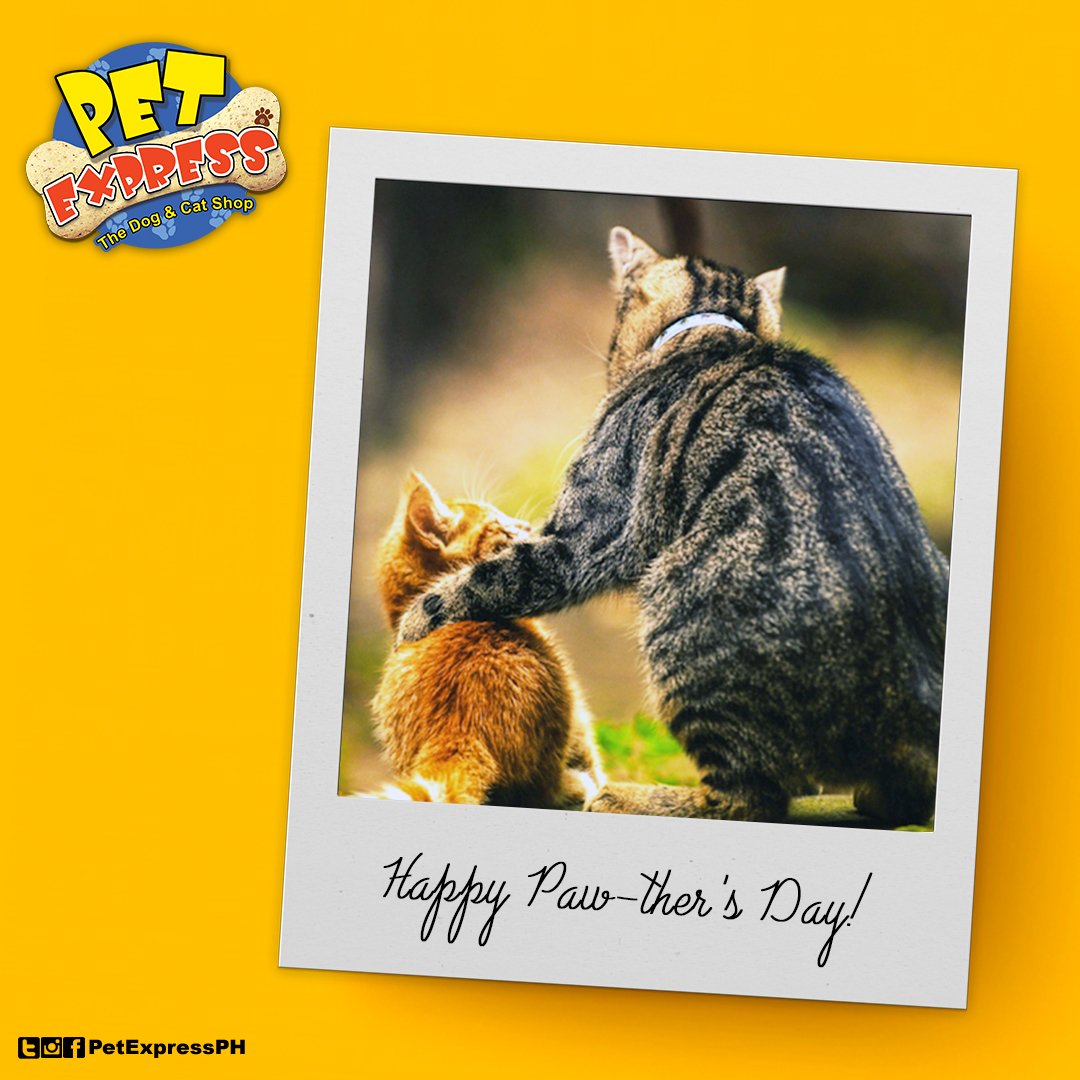 PetExpressPH's tweet photo. Thanks fur being my superhero, dad! Happy Paw-thers Day!
#FathersDay #PetExpress #petparents #cat #catsofthephilippines https://t.co/z452QKNJSc