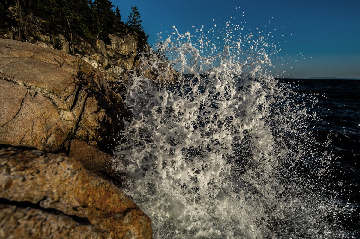 MarksGonePublic's tweet image. Got lost from my group tonight at lighthouse park. Went bush whacking in the dark finding my way out. I get easily distracted looking about at the beauty of nature after a day of computer programming. #WestVan #LighthousePark