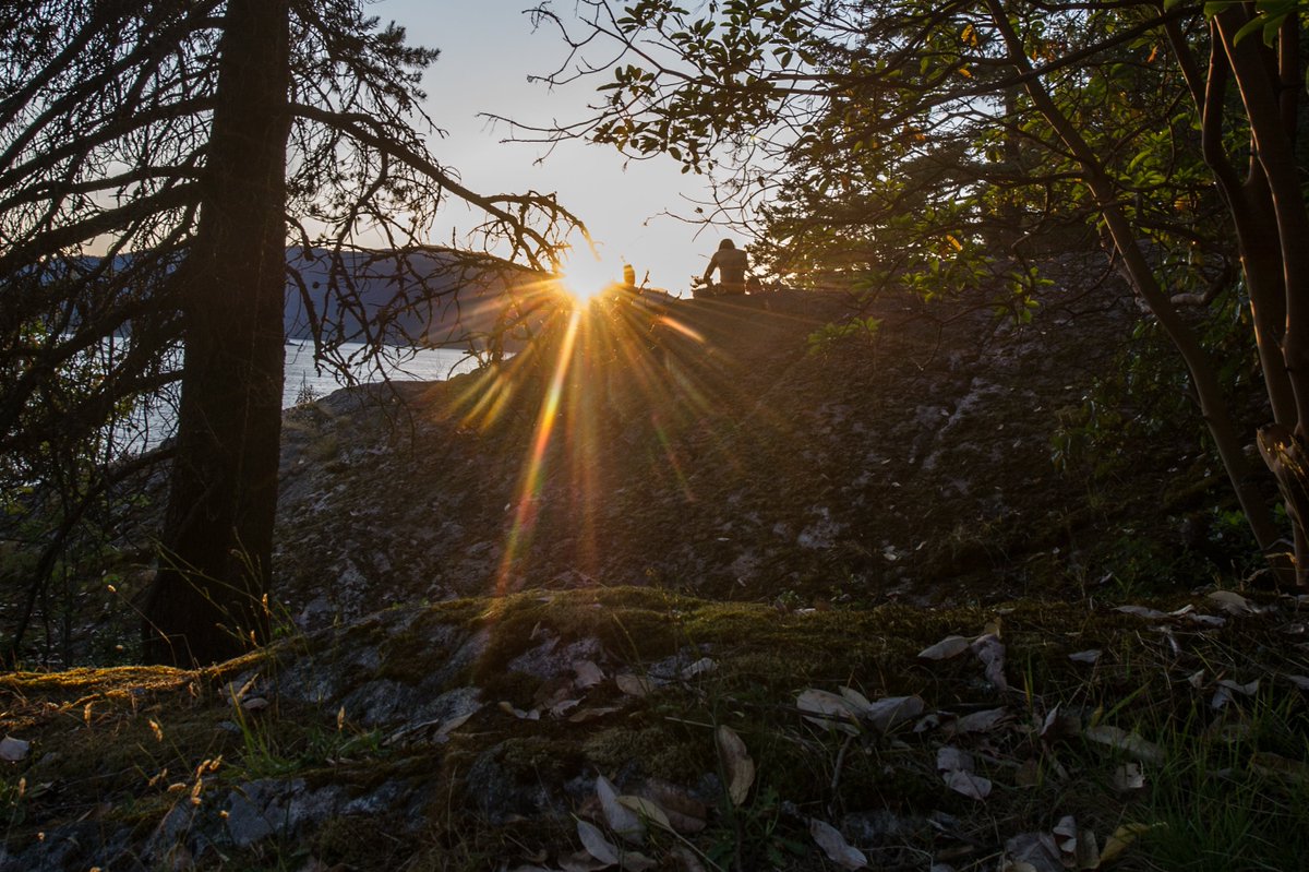 MarksGonePublic's tweet image. Got lost from my group tonight at lighthouse park. Went bush whacking in the dark finding my way out. I get easily distracted looking about at the beauty of nature after a day of computer programming. #WestVan #LighthousePark