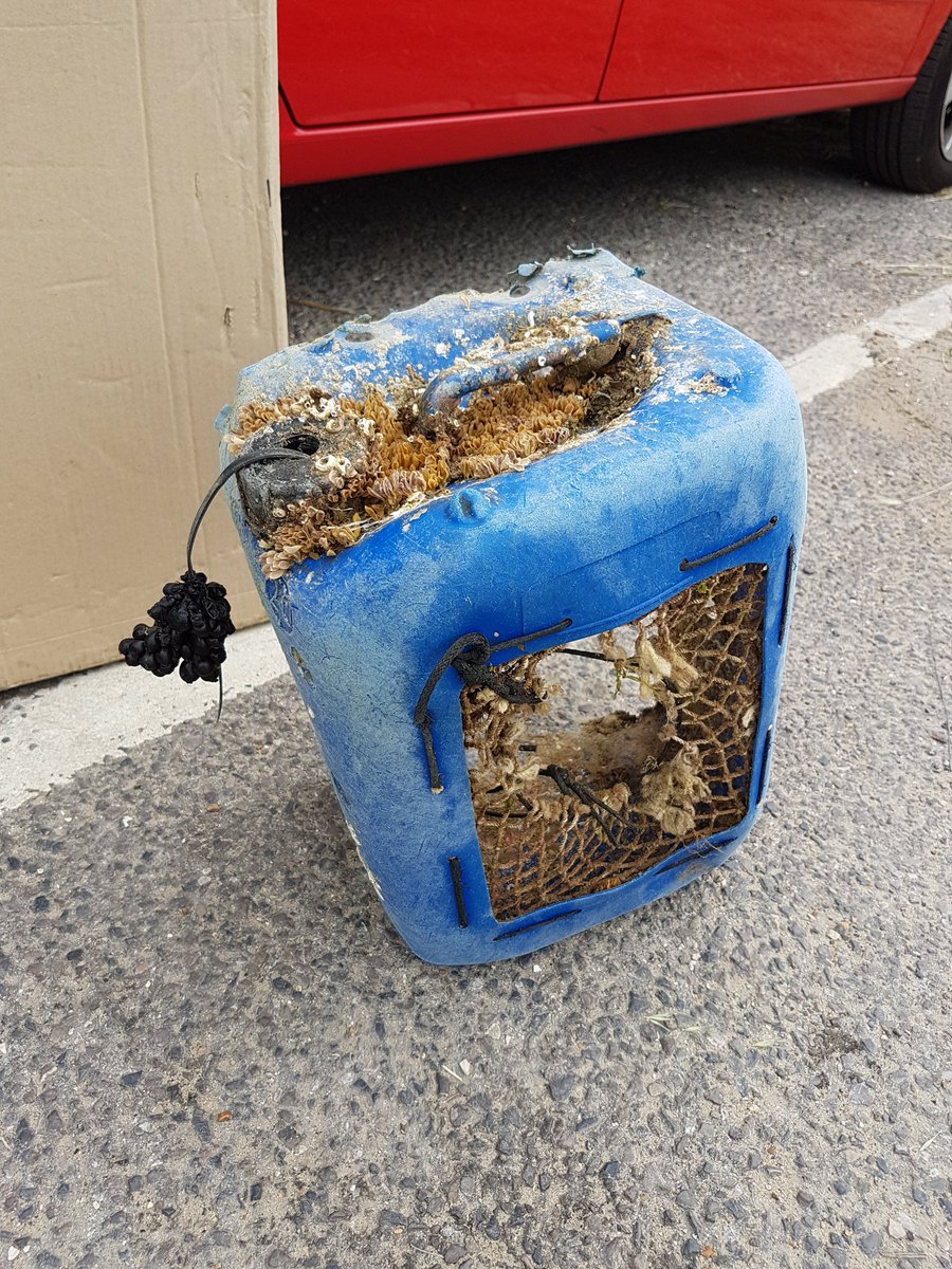 FairAndBlue's tweet photo. Great morning clean up at West Beach, Littlehampton today. #everylittlehelps #bigbeachcleanup #mcs https://t.co/SUQAXrWUoF