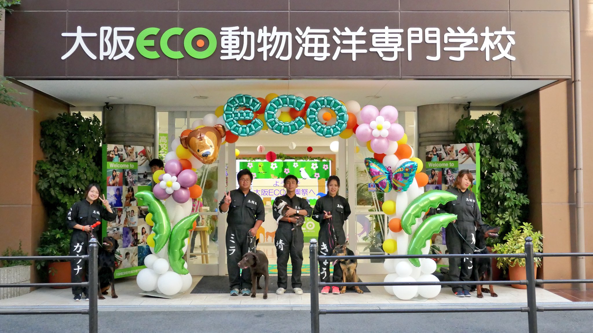 ট ইট র 大阪eco動物海洋専門学校 大阪eco学園祭18 最終日は3280名の方にお越しいただいたもにょ 2日間で6108名の方のご来場があり 大盛況だったもにょ 大阪eco 動物 専門学校 学園祭 わんわんサーカス ハシビロコウ アザラシ Dog 警察犬 ট ইট র 大阪eco動物海洋専門学校 大阪eco学園祭18 最終日は3280名の方にお越しいただいたもにょ 2日間で6108名の方のご来場があり 大盛況だったもにょ 大阪eco 動物 専門学校 学園祭 わんわんサーカス ハシビロコウ アザラシ Dog 警察犬