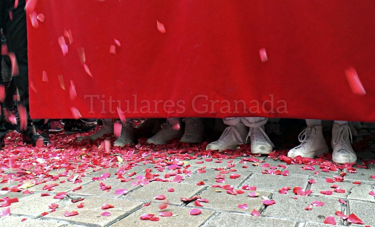 "Señores más cortito que hay Petala " 👑

Foto 📷 @TitularesGr