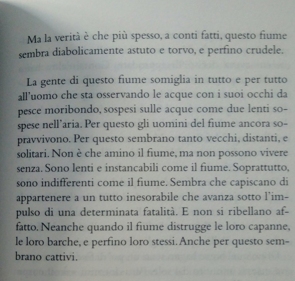 davidillevir's tweet image. Sono lenti e instancabili come il fiume. Soprattutto sono indifferenti come il fiume. (...)
Anche per questo sembrano cattivi.

  #HaroldoConti #Sudeste @ExormaEdizioni
Un capolavoro! Il realismo magico rivoltato come un calzino e lasciato in secca alla foce del Paraná