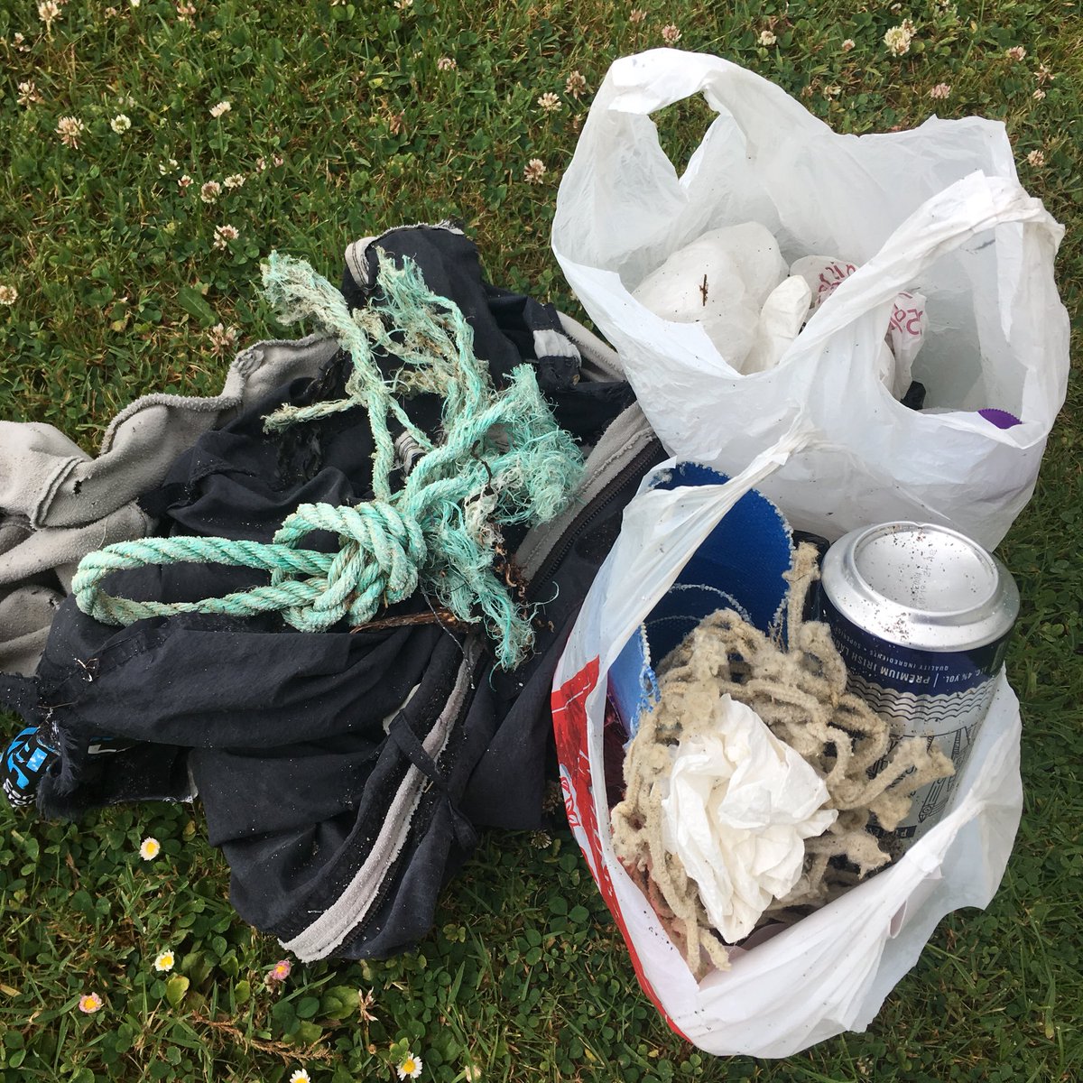 Day 17 #30dayswild 🌿🌿@30DaysWild quick beach sweep while walking the dog, using bags found on the beach #beachclean #loveourearth #loveouroceans #naturelover #onlytakesaminute #doingmybit