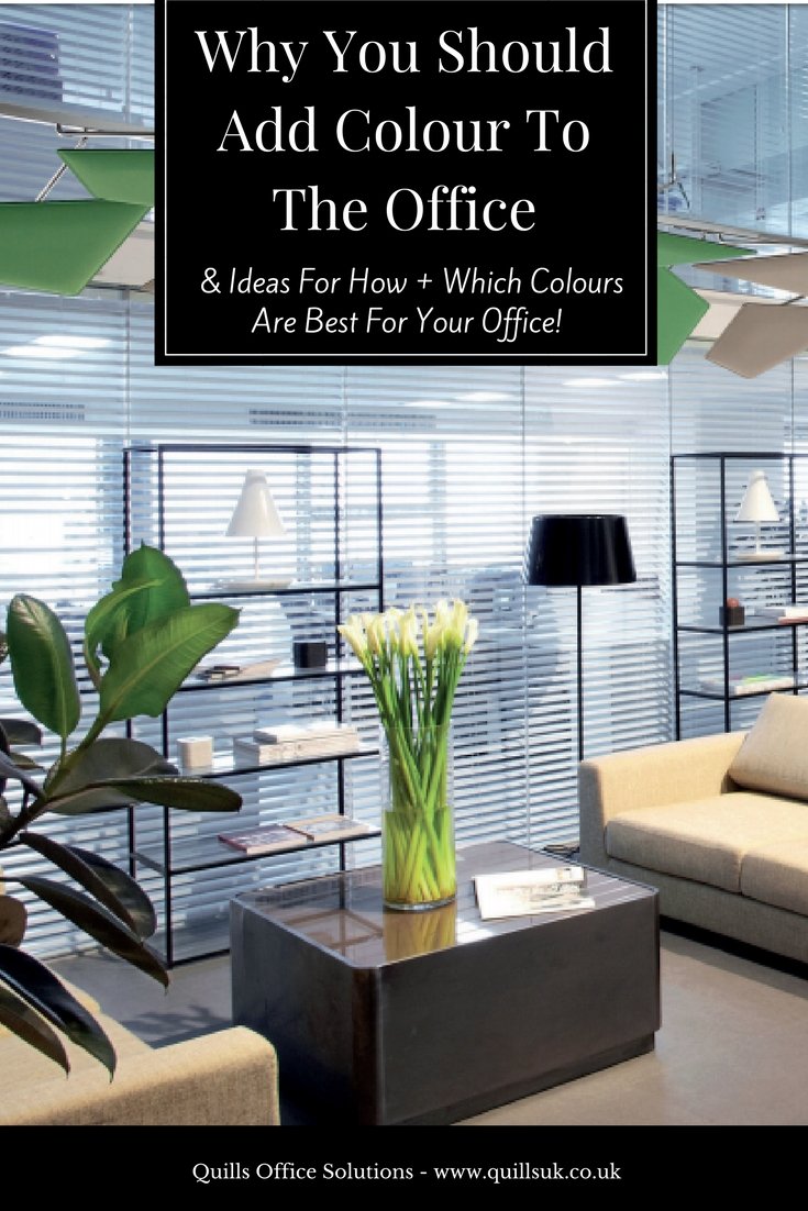 BizForBreakfast's tweet image. RT @QuillsUK: Sunday is the perfect day to prepare for work tomorrow . . .Why not pop into Homebase and pick up a plant for your desk at work? Our article shares the benefits of having plants in the office - you&apos;ll definitely want one after you read this…