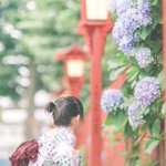 これはまじでかわいいw浴衣と神社と女の子が合いすぎてほんと可愛いｗ