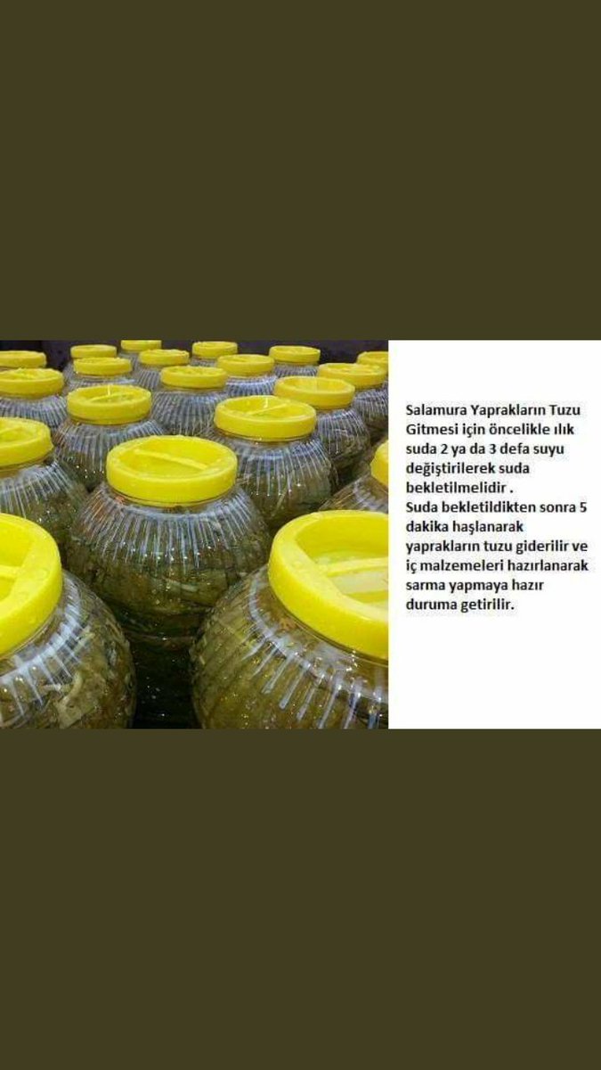 Sarmalarınızın yaprakları bizden💕
Sipariş için DM📝