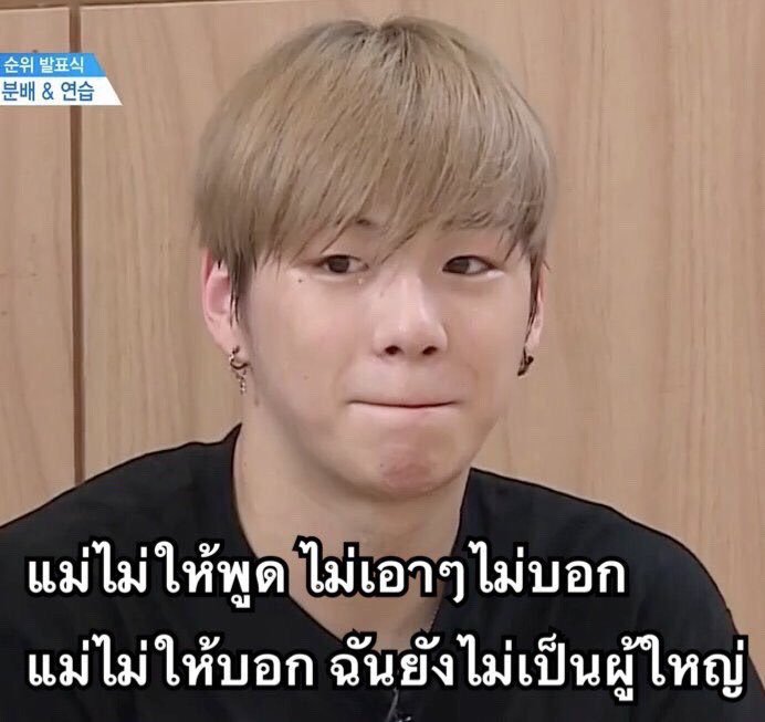 ปูซาน tweet media