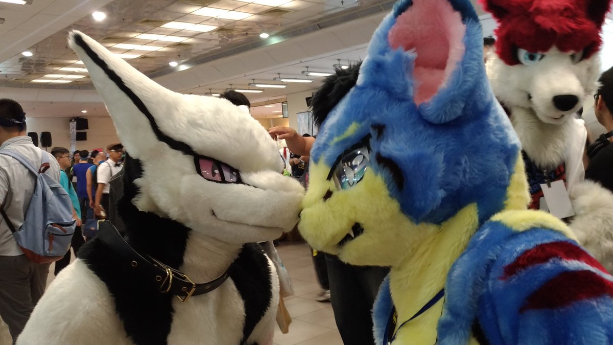 @Yuliya_dragons @austin35623103
#furrymosa2