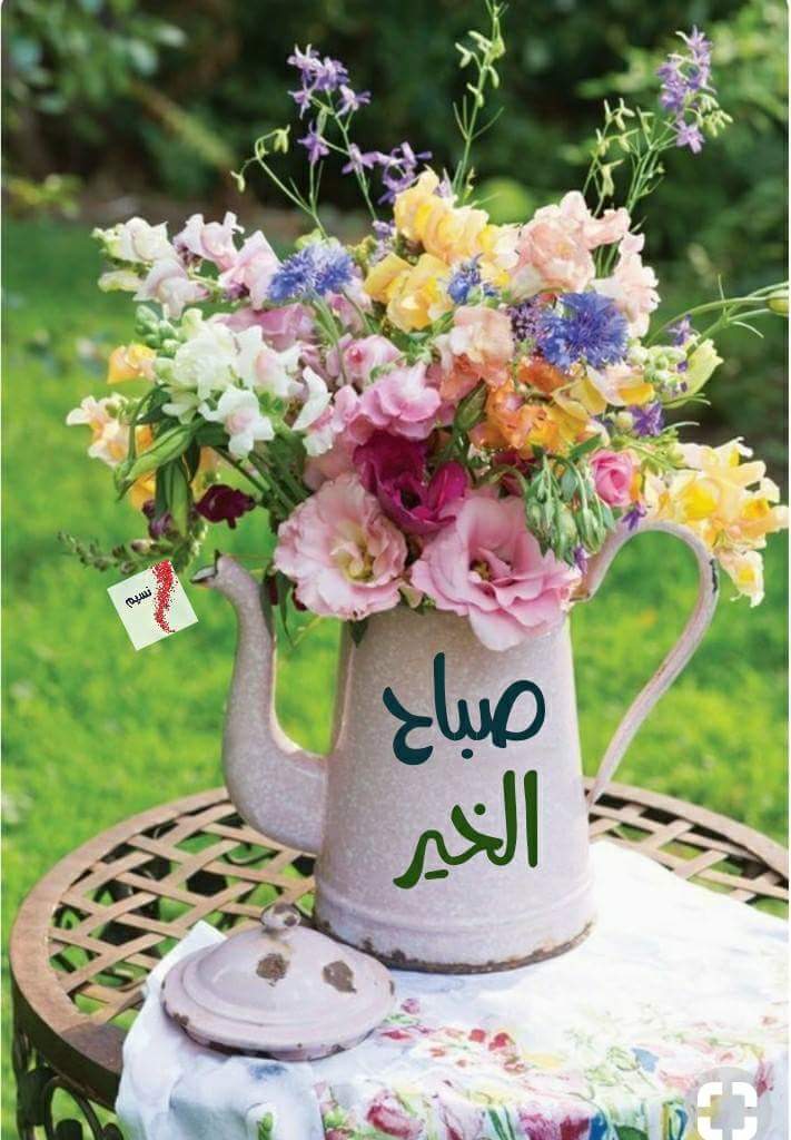 goo49979's tweet photo. @Fatma87432607  https://t.co/QmwErp0U8t