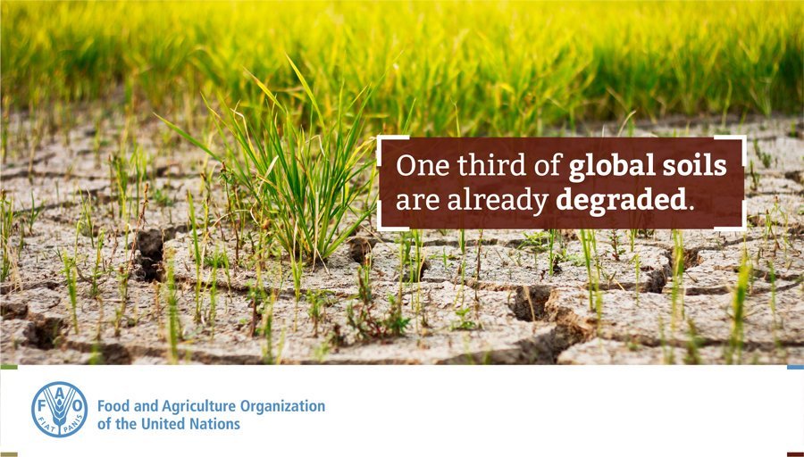 Without healthy and fertile soils we can't produce our food. 🥕🥔🍅🥬

We need to respect the ground beneath our feet, it's more than just dirt. #ZeroHunger #2018WDCD