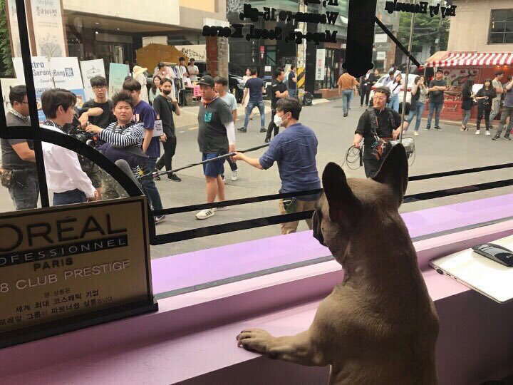 🐈⬛🤍 tweet media