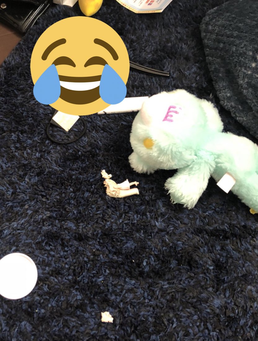 s_yukis's tweet photo. 今日もなんかめるさん🐶部屋に侵入して引っ張り出したり、破壊の限りを尽くしたみたいなんだけど、愛永から貰ったグルーミーの爪が全部持ってかれた…なんかよく見ると鼻もなくない…？ https://t.co/ms5P7tyVYZ