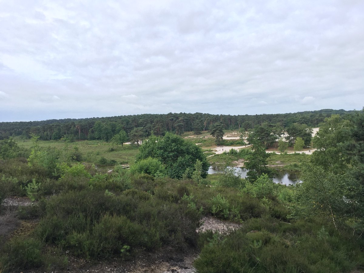 mamw78's tweet photo. Op locatie 😎 #sundaymorningrun #brunssummerheide https://t.co/FrUiWCWLGo