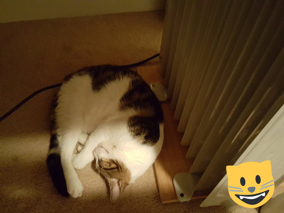 Señor Jackie Chan tweet media