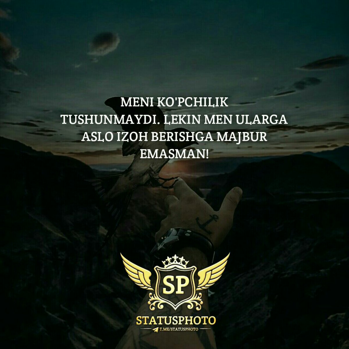 NIGHTWOLF (@eldor38963688) on Twitter photo 