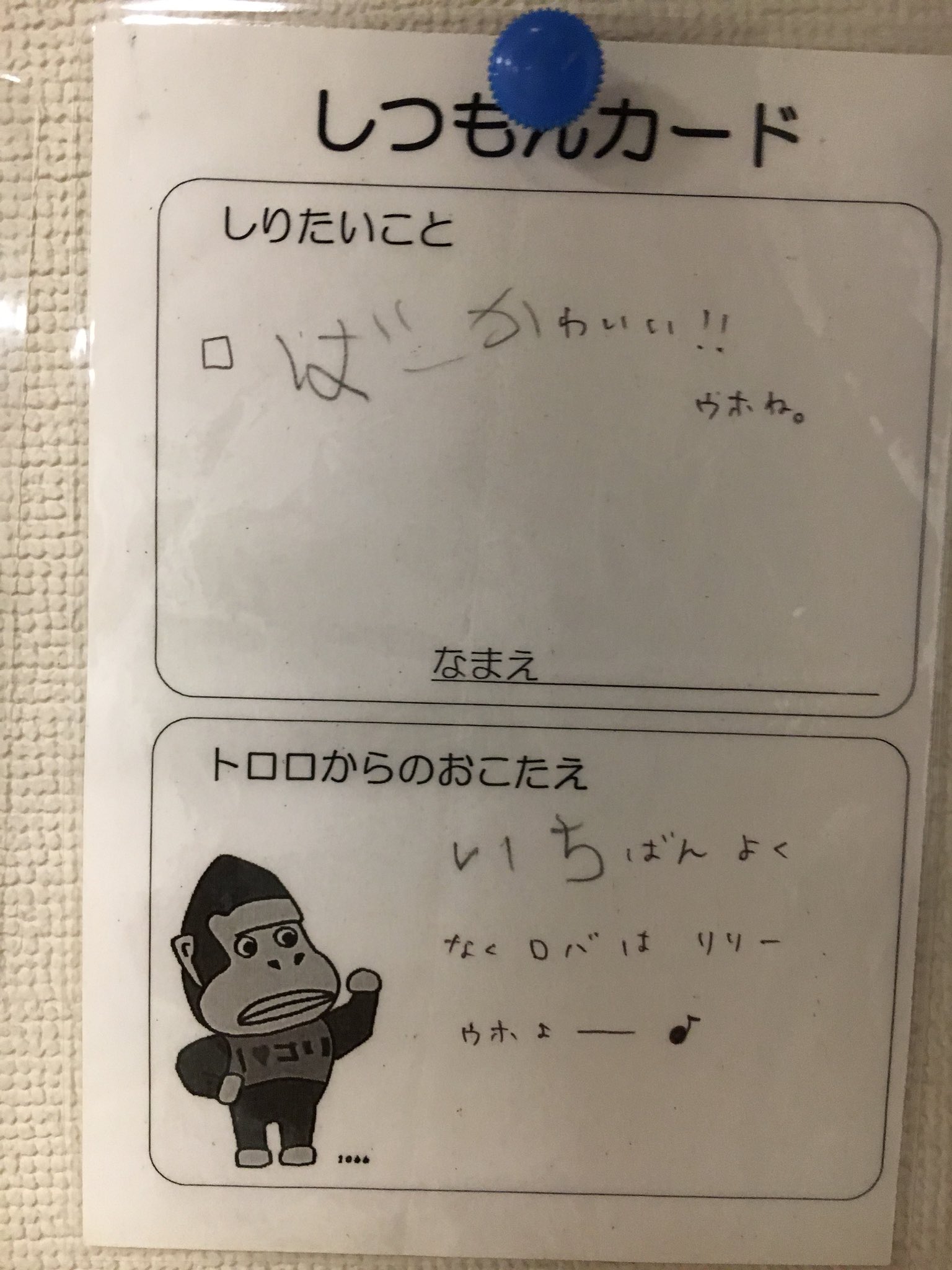 子どもへの対応が神 全てをユーモアな質問に変えてしまう動物園スタッフがすごい 話題の画像プラス