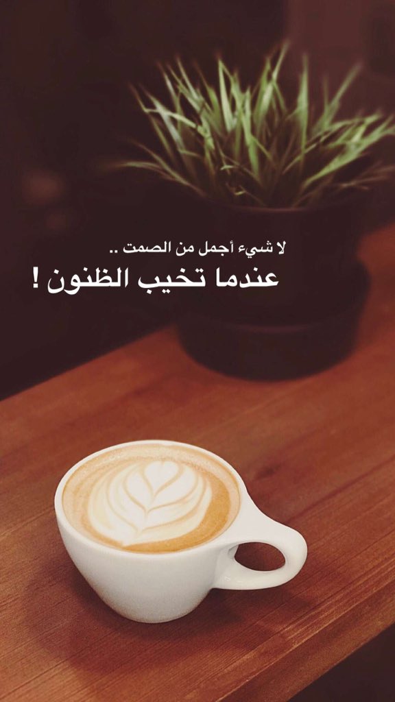 024_240 tweet picture