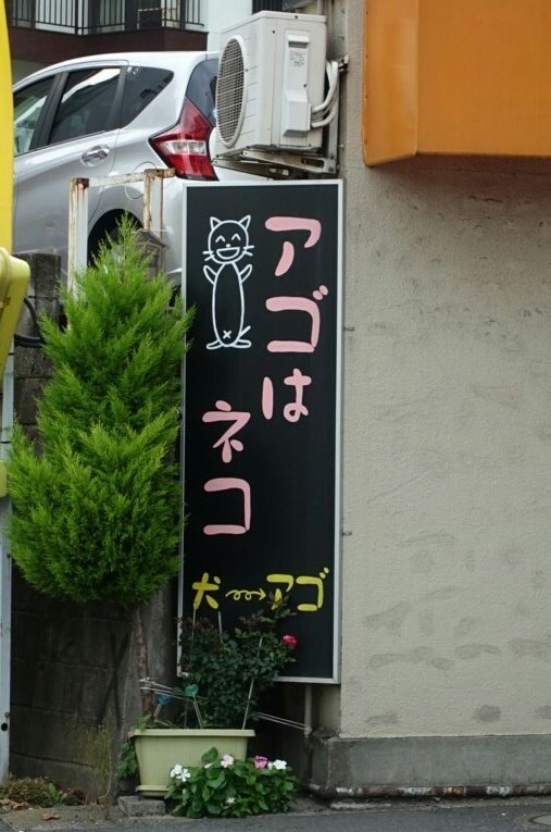 アゴはネコ