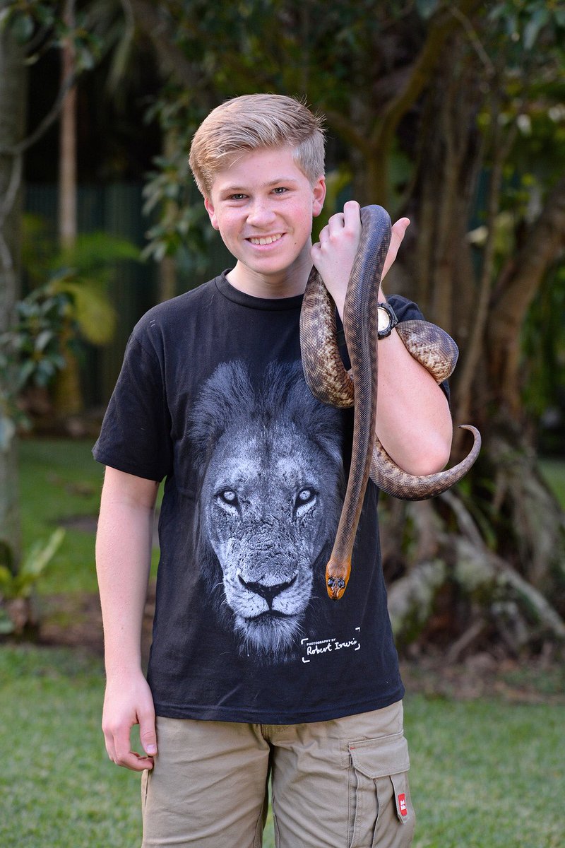 Australia Zoo On Twitter Crikey Robertirwin S Newest Shirt Has Arrived Don T Catch Yourself Lion Around Hop To An Australia Zoo Shop Or Visit The Link Below To Grab One For Yourself Https T Co Yyecd0du4v