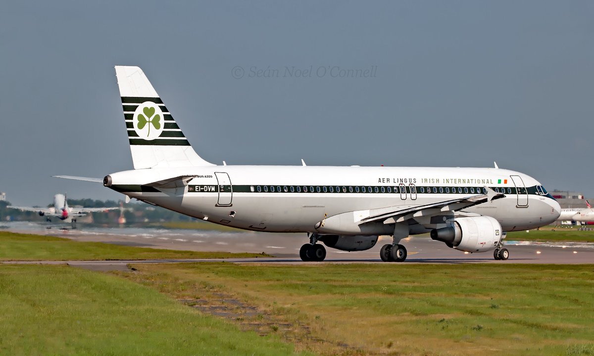 Shamrock715_'s tweet photo. Shamrock 169 (EI-DVM) of @AerLingus lining up on 09R @HeathrowAirport in retro livery to @DublinAirport 22-05-2018 #EI169 #aerlingus #heathrow #LHR #Retro #EIDVM @AirbusintheUK @Airbus #A320 https://t.co/Qzt6Lndrjp