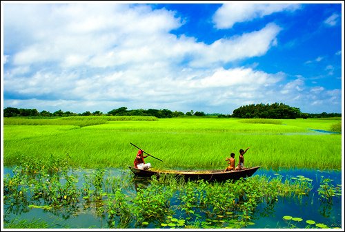 Shaon Hossain Shanto tweet media