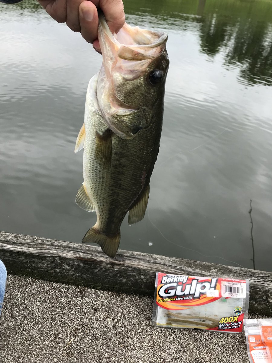 たけ (@tale10620725) on Twitter photo 