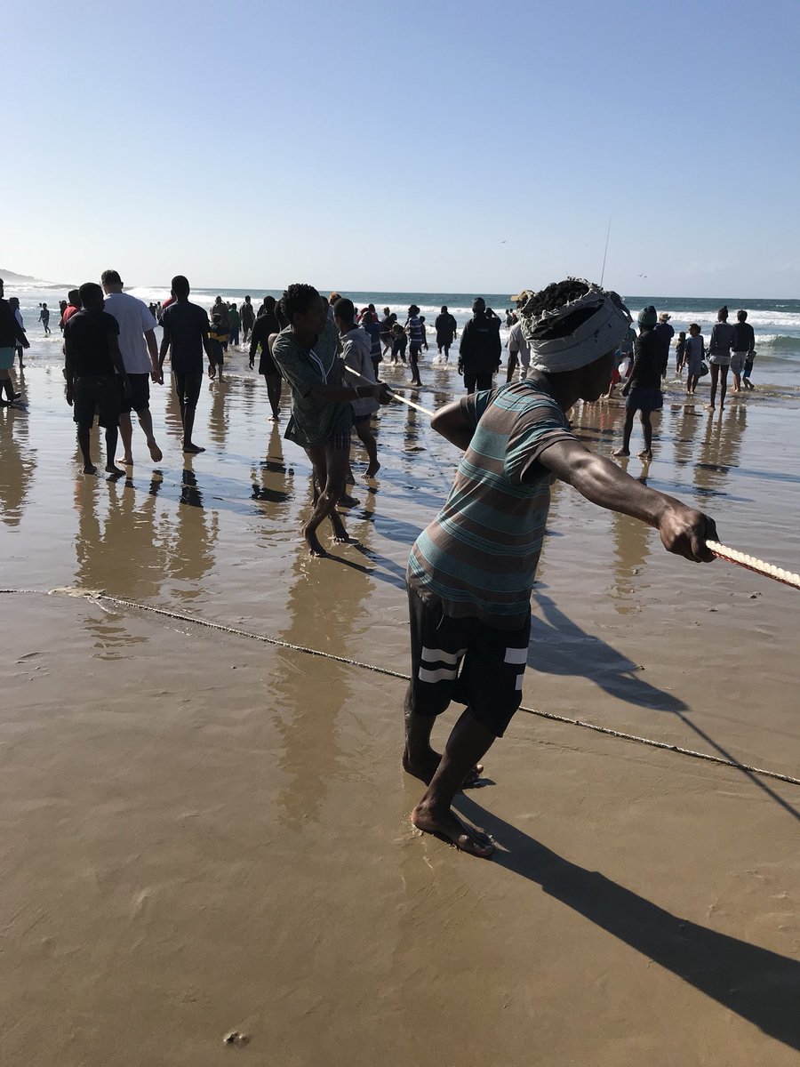 Southern Shuttle tweet media