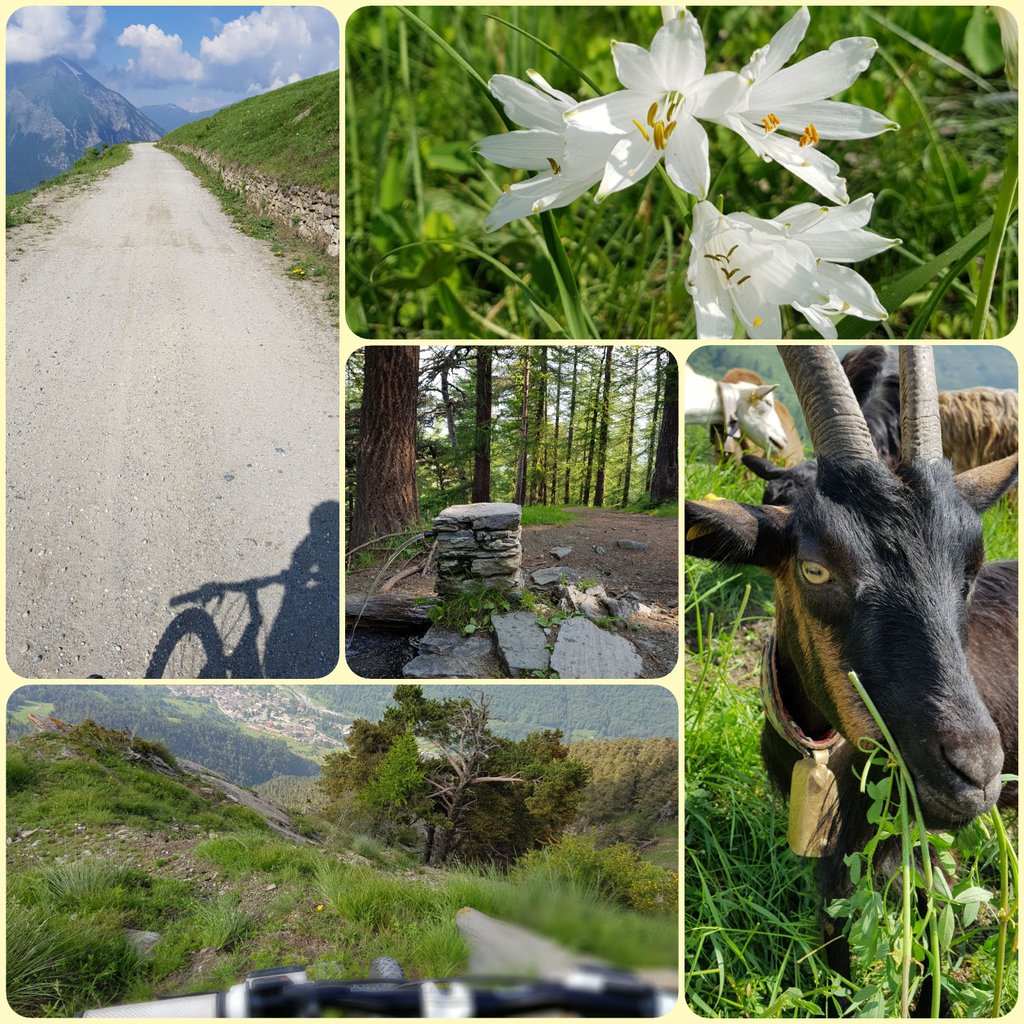 Bella giornata in MTB con <a href="/CarmenMaria5567/">Carmen</a>