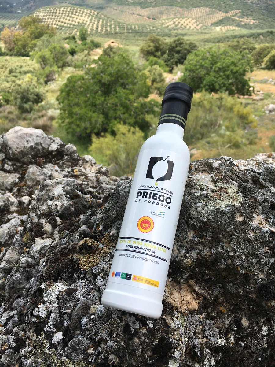 BlogHedonista's tweet photo. Campos de olivares de la #DOPPriego Desde #priegodecordoba 
#GalaDopPriegoDeCórdoba 
#DopPriegoLaHistoria
#TurismoyAceite
#cordoba #Andalucia https://t.co/2h5czVaR7Q