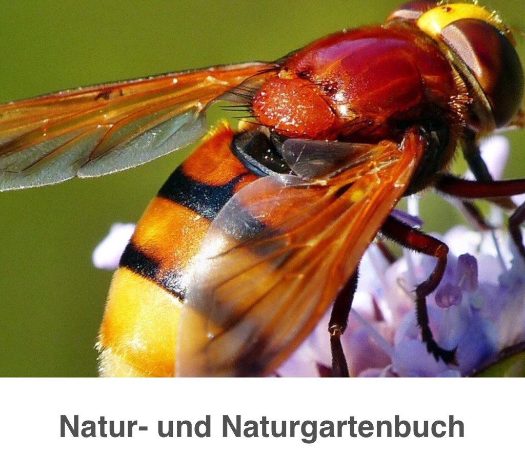 ivbruehl's tweet photo. „Natur- und Naturgartenbuch | Biologische Vielfalt“ Danke für den Link #quarksundco #wdr https://t.co/nIDExFA2js https://t.co/Wggyw9ebWo