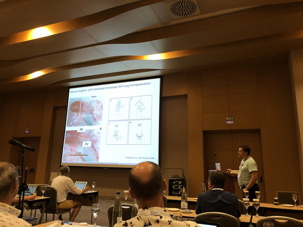 m_konigshoff's tweet photo. The final session of #Aegeanfibrosis2018 features immune cell contributions to #lungfibrosis #lungregeneration
wonderful presentations by @Eickelberg_MD on Mzb1 plasma cells in #IPF and @lungbud on ILC2 cells on  alveolar tisse repair and differentiation @AegeanConf https://t.co/NyoUlJs4rn