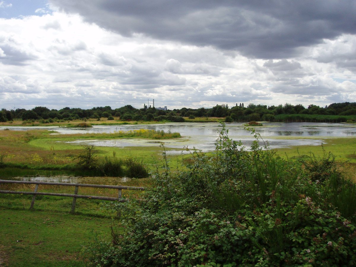 Countryside_PS's tweet photo. We all love spending time outdoors now itโs warmer. Why not take the family to #Dagenham Chase Nature Reserve near #TrinityPlace? Itโs one of the best urban nature reserves in SE England, attracting a variety of wildlife. #ThingsToDo #DayOut #FamilyFun
https://t.co/EY7wLvkcPD https://t.co/0srtxbwGbT
