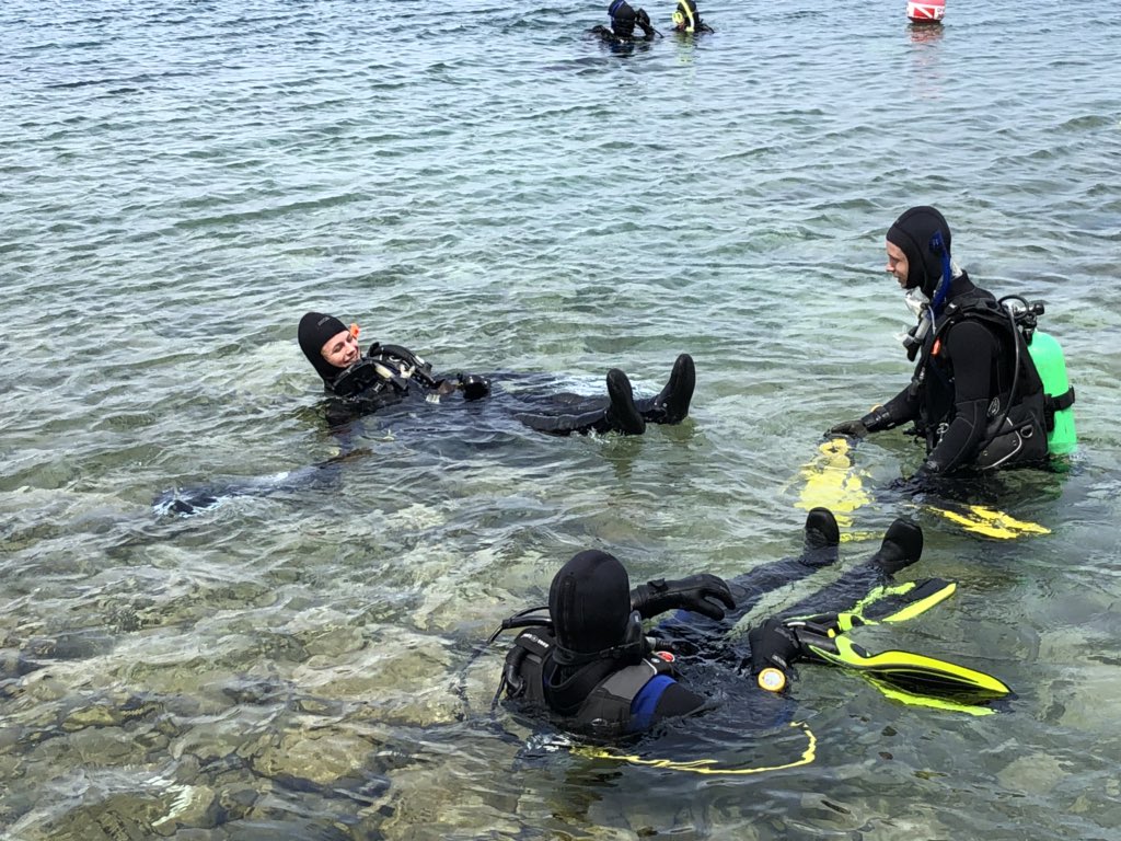 KolleenBrunton's tweet image. Ontario is simply beautiful #tobermory #divingweekend