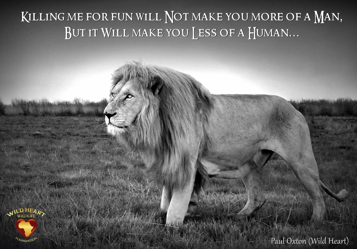 IndianYash's tweet photo. You think hunting or killing animals, makes you more of a “man”? No Sir, you become less of a Hu”man”. #StopPoaching #StopLegalHunting https://t.co/E2PbHIdvYw
