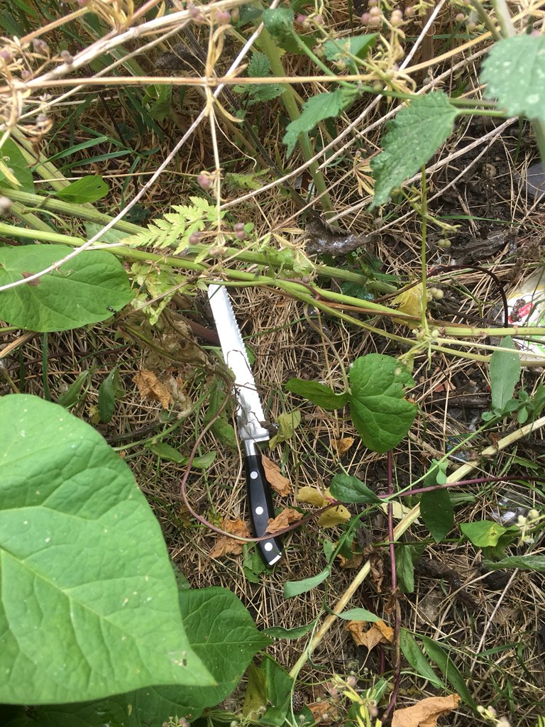 MPSGreenwich's tweet photo. While 3 @MPSSpecials were undertaking proactive patrols in the SE2 area they recovered a knife - another potential life saved #makinglondonsafe #StopKnifeCrime @MPSThamesmeadE ^5086RG https://t.co/eWMnaM8Sny