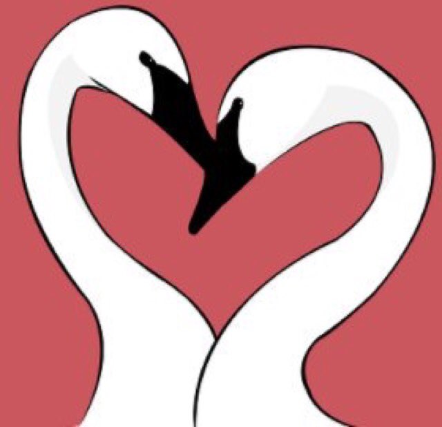 JamieGothard's tweet photo. Two lovely swans from a while back. Check the link for more of my animal related works: https://t.co/HRjvxz43q7… @Creativepool #swans #birds #vector #art #animal #cute #love https://t.co/a61RFJd9wb